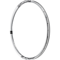 Reverse Components REVERSE Felge Black One 35 TR 29" Silber