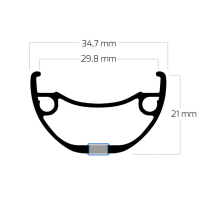 Ryde Rival 30, Disc 24", black, 32 Hole