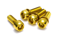 Reverse Components REVERSE Disc "Brake bolt" set, 4pc/set M6 gold