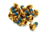 Reverse Components REVERSE Disc "Rotor bolt" set, 12pc/set gold