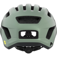 Alpina ALPINA Paranus MIPS willow-green 52-56cm